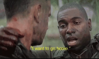 87959602-4-C53-4-AF7-8002-E4402-E1-C16-E4.gif