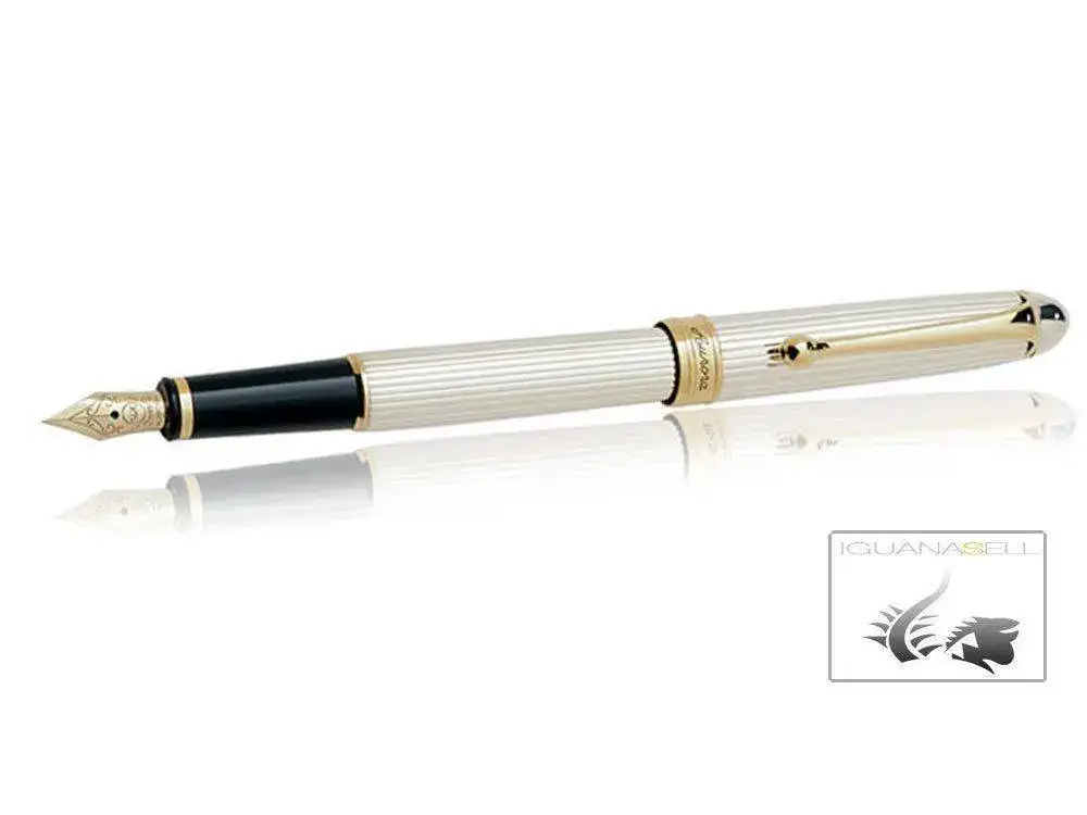 88-Small-Fountain-Pen-Silver-.925-Gold-trim-816--1.webp