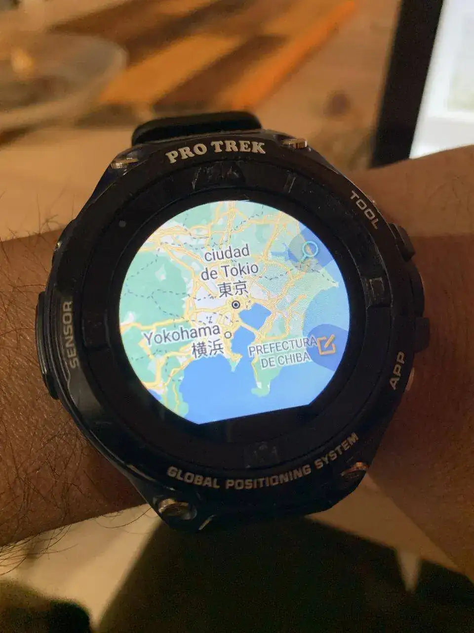 Casio top wsd 20