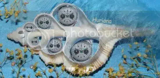 9-594C-4A94-8F7A-0FA5F083B0EB-796-000001B2353EA325.webp