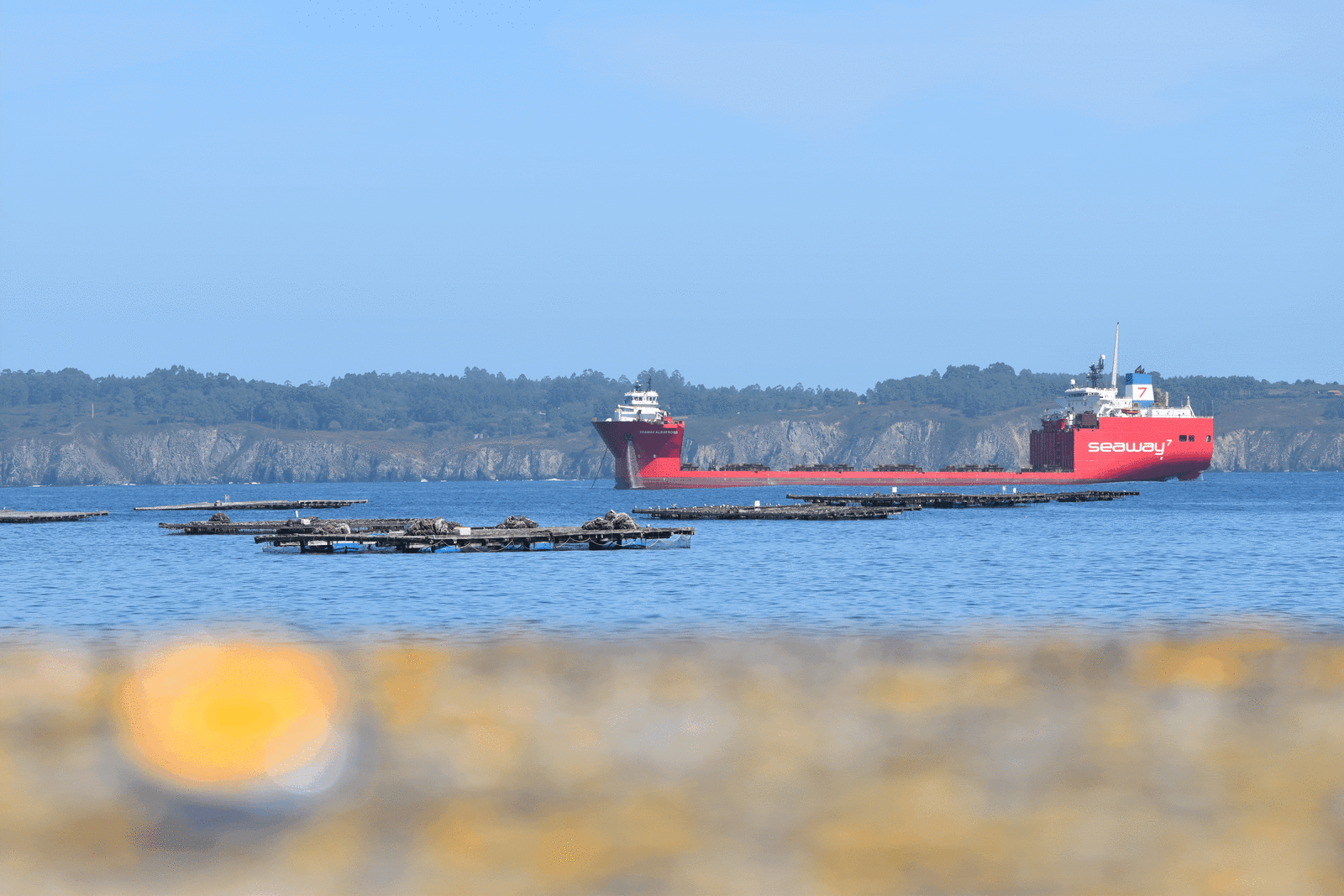 901be3c8-9f5e-49dd-b3f3-3f95ea72fc6a-1_all_16162.gif