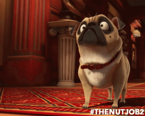 90719188a9a632d3b64587122fb5ad33.gif