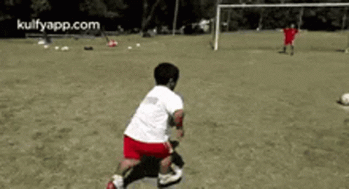 91107831-25B8-4651-9FE4-B3184D1053F9.gif