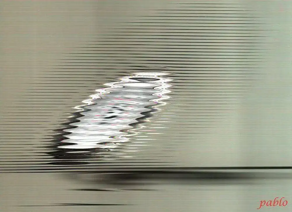 9125230924_ff64bc3e6e_b.webp