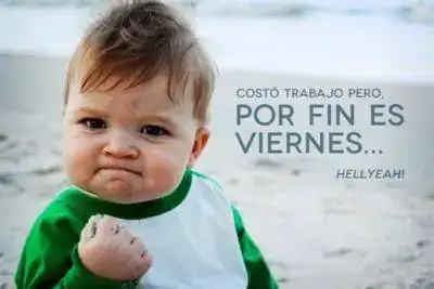9239790.webp