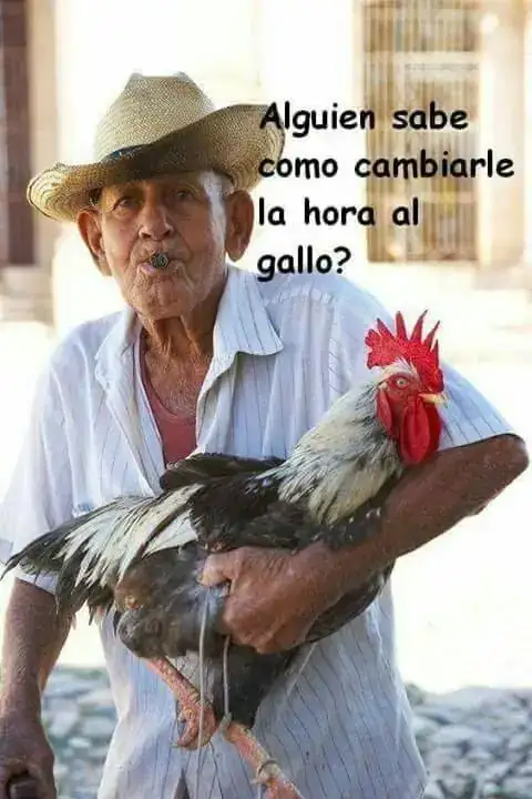 93385af43c092e4a900128ba2c143982.webp