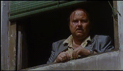 96-C05239-FAAC-4-C53-9-D49-95-B4-FF123091.gif
