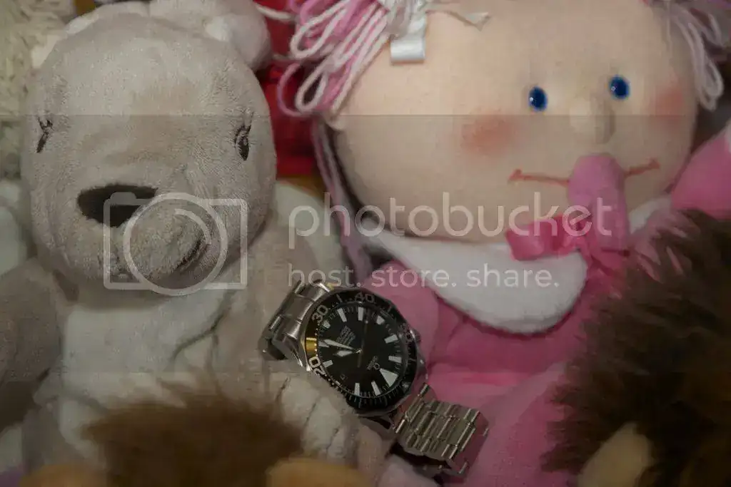 96793732.webp