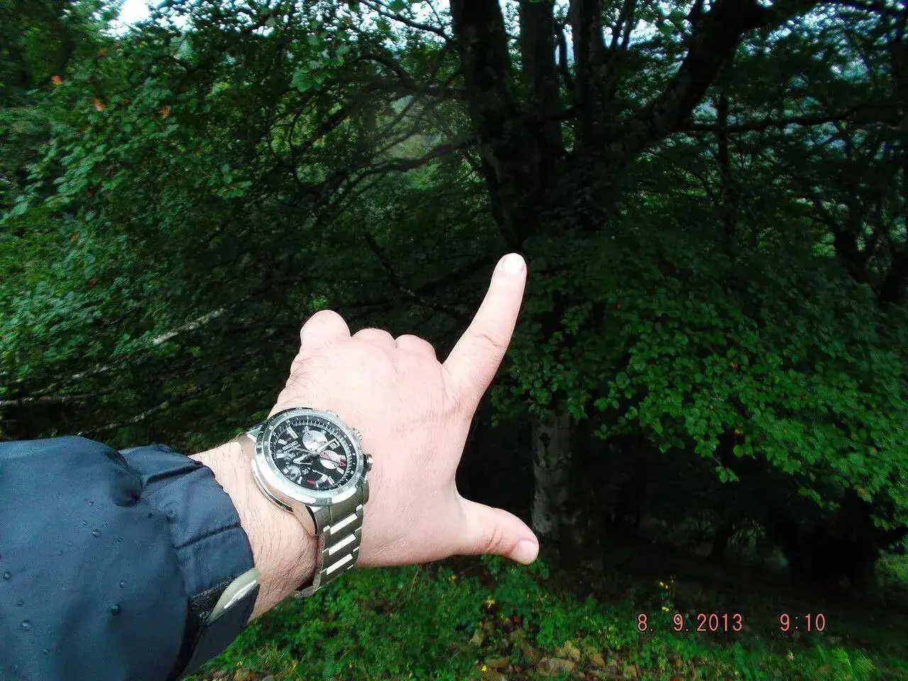 9700932094_9d269de845_h.webp