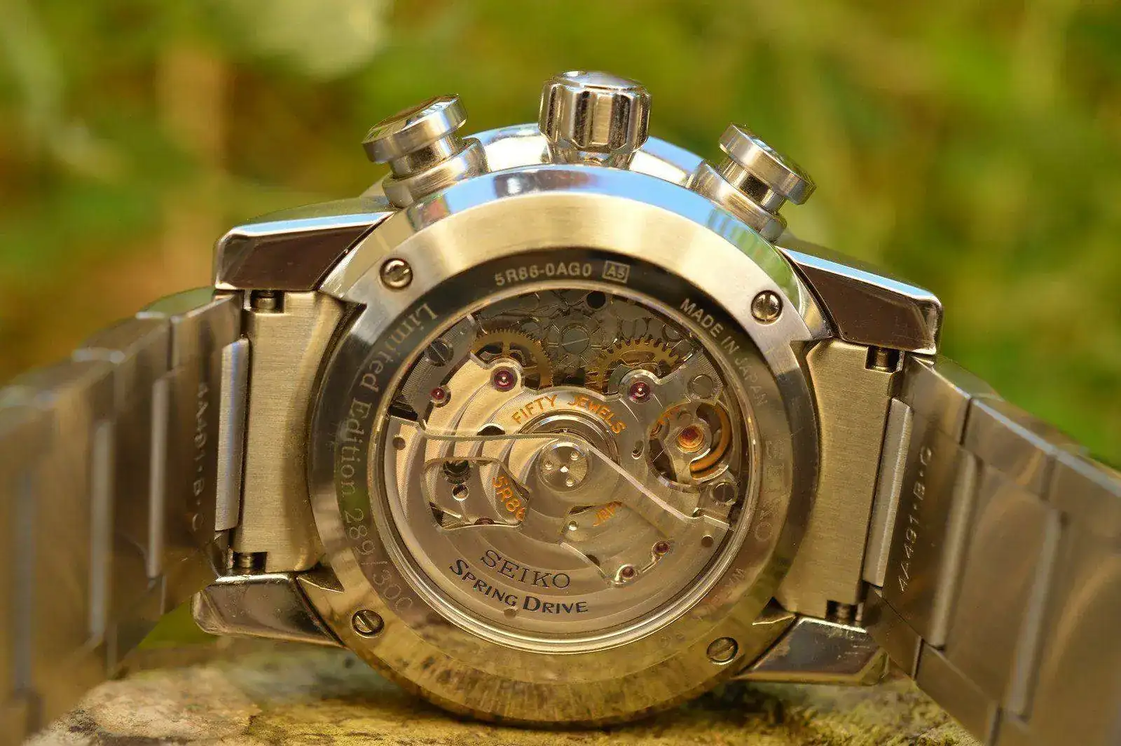 9737387400_086f292eaa_h.webp