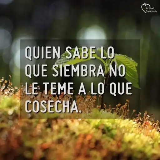 98767d751784ba6af01d68255b921b86.webp