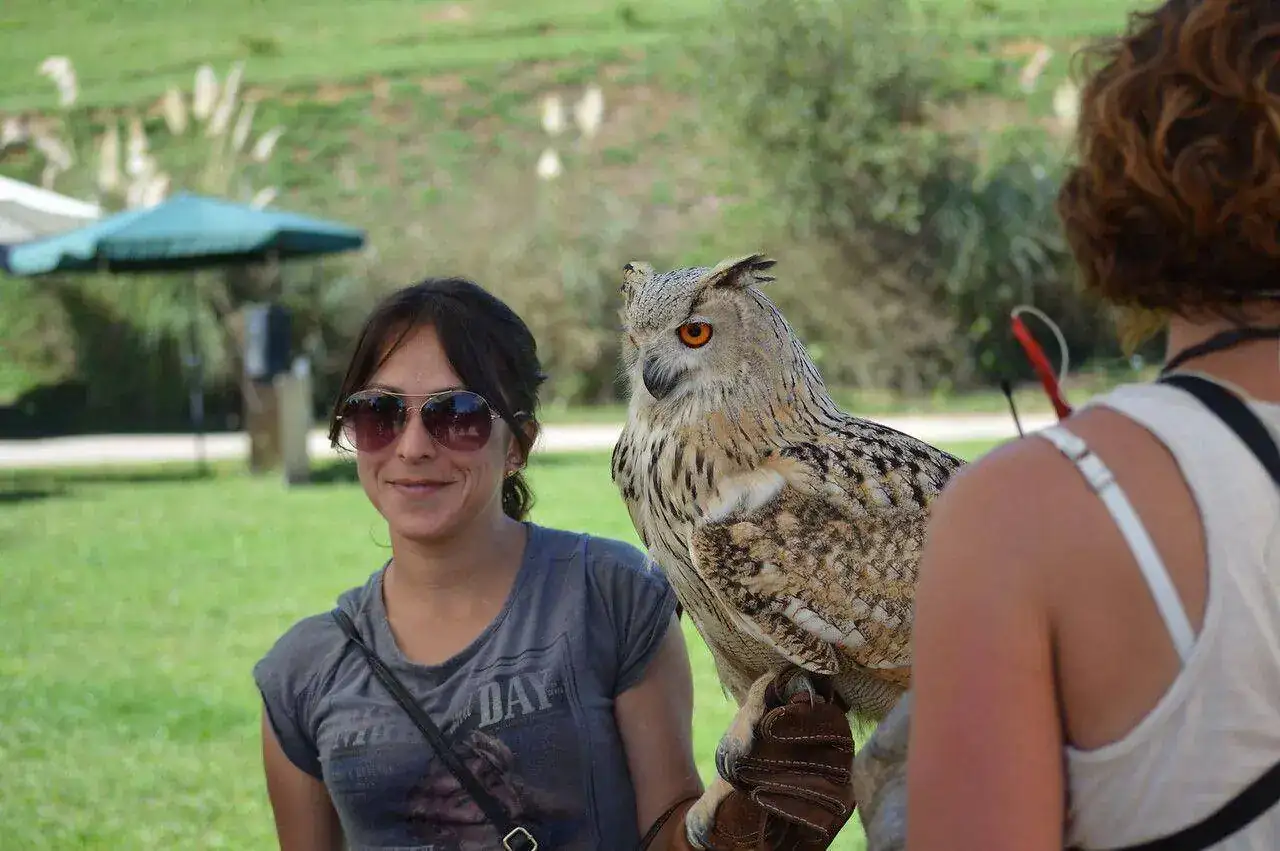 9881046394_4f0e3ed936_h.webp