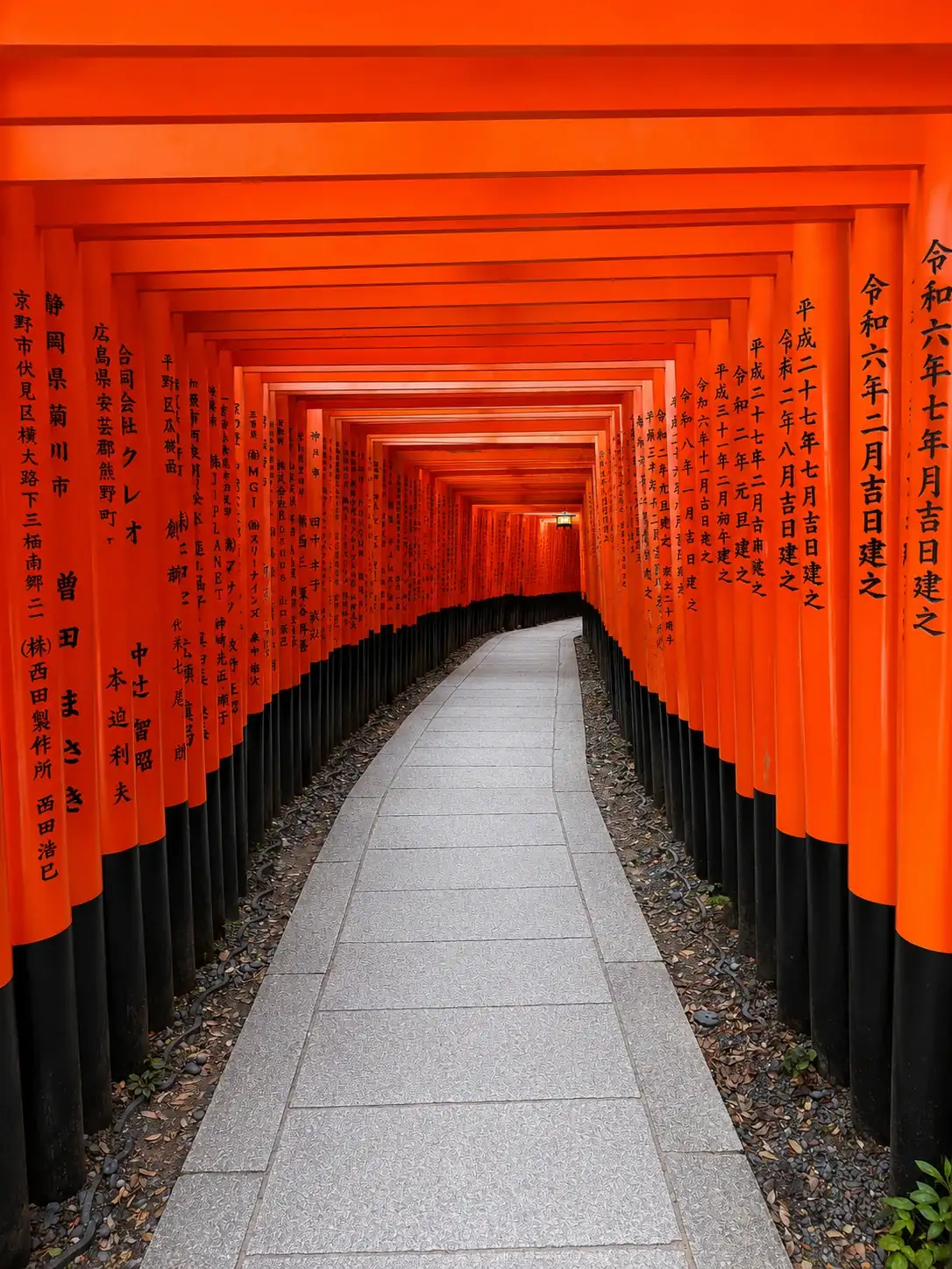 9C436E96-B290-4BFA-88C6-44C49B544382.webp