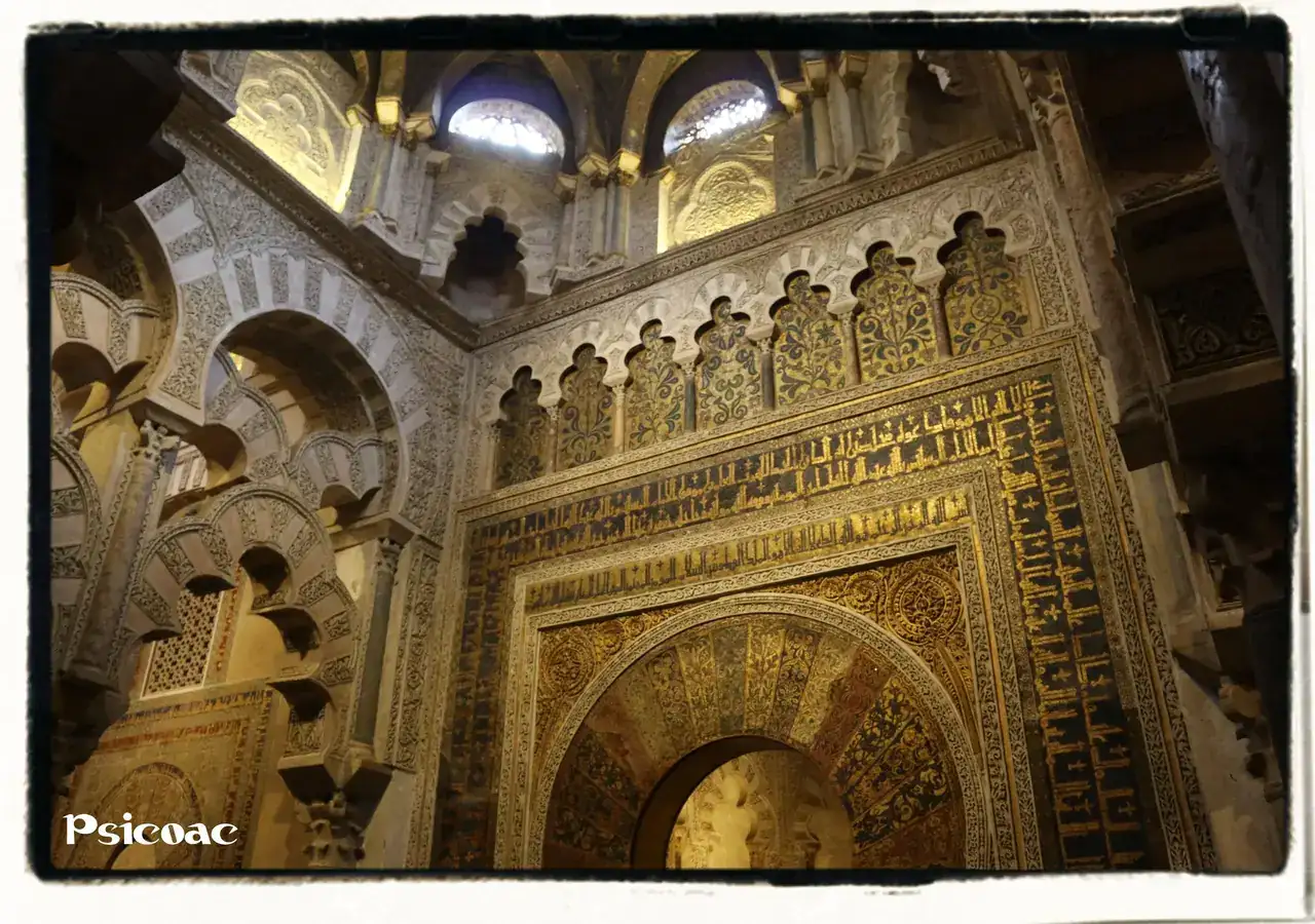 9vFcfAh.webp