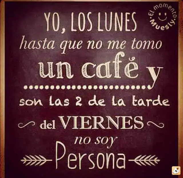 9y9adude.webp