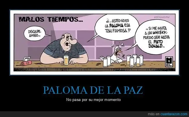 _0d0826e79eaf420f93b8dbc8620f56f6_paloma_en_crisis.webp