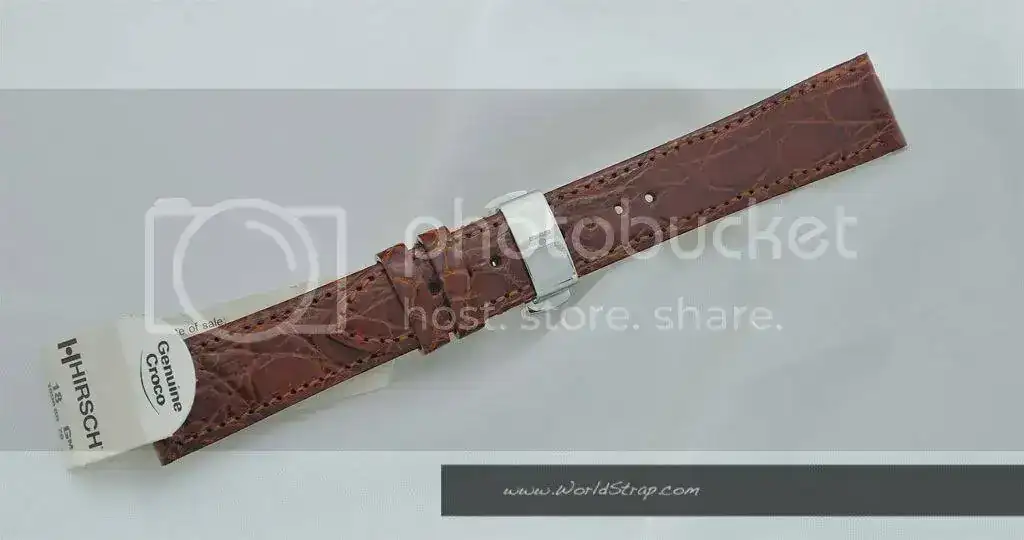 _DSC0063.webp