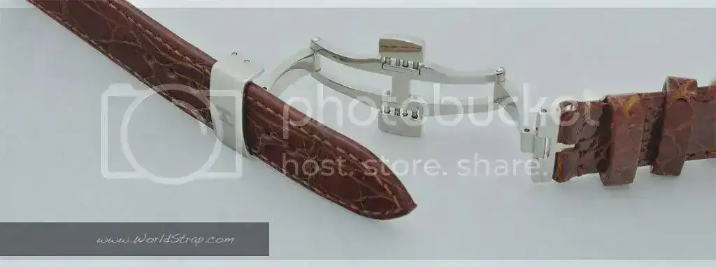 _DSC0066.webp
