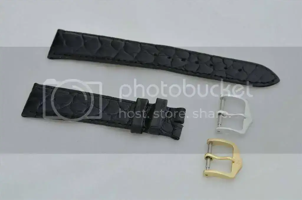 _DSC0318ok.webp