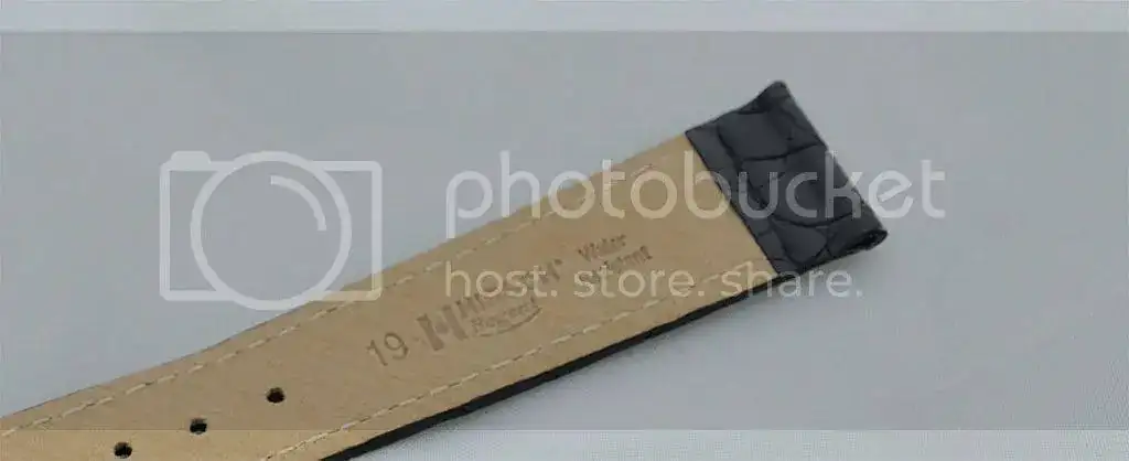 _DSC0320ok.webp