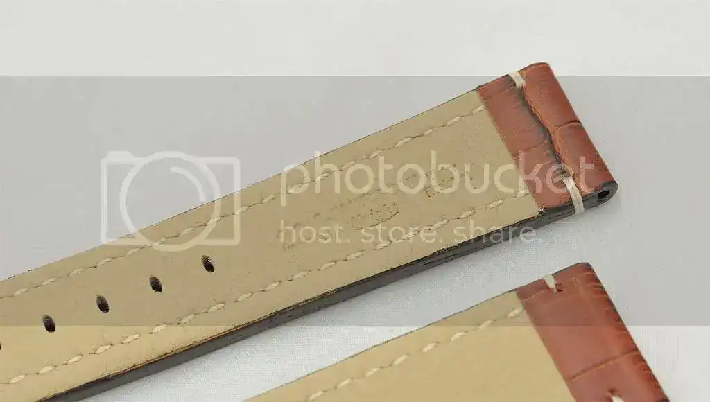 _DSC0475ok.webp