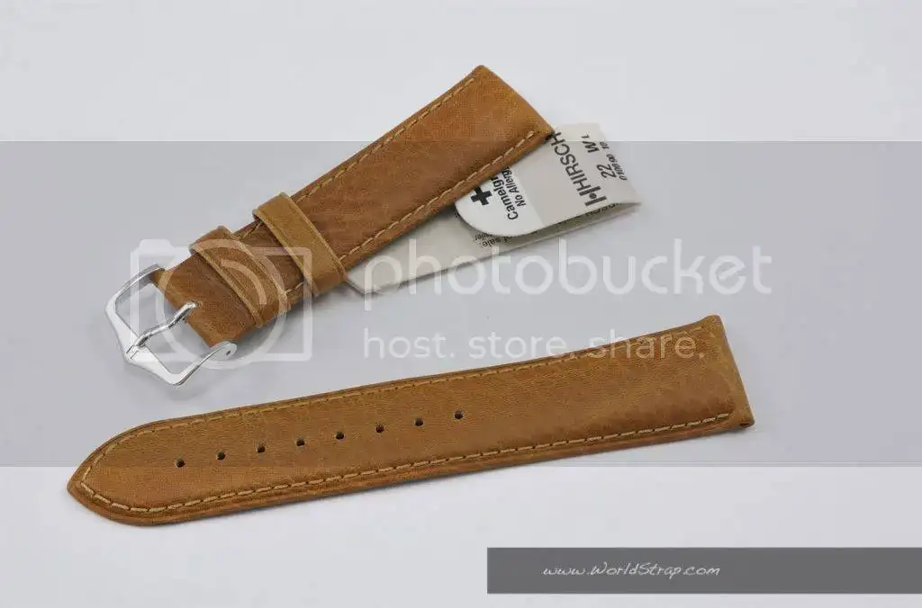 _DSC0496ok.webp