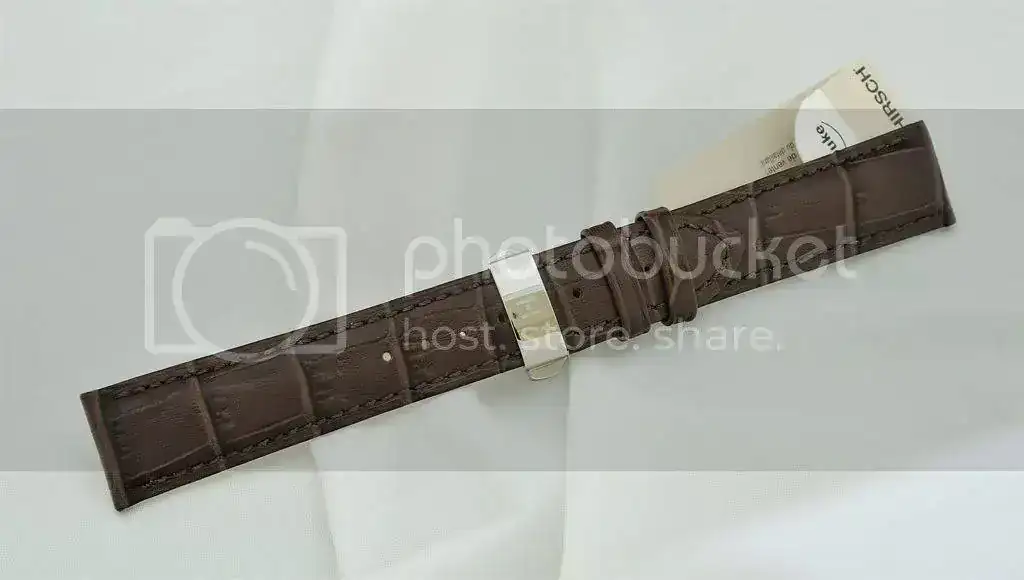 _DSC7556ok.webp
