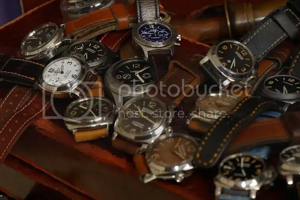 _dsc768720copy.webp