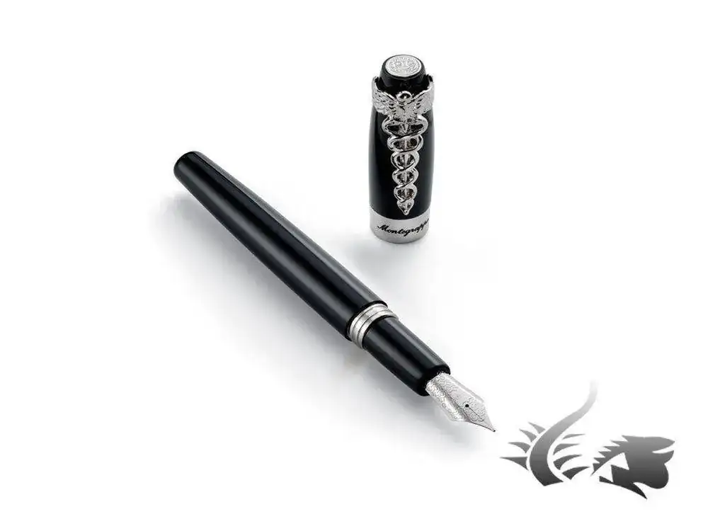 a-Caduceus-Fountain-Pen-Palladium-trim-ISFOM-YC--1.webp