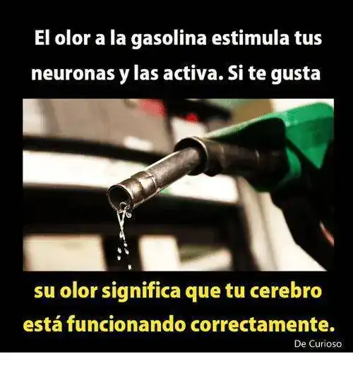 a-la-gasolina-estimula-tus-neuronas-y-las-21867587.webp