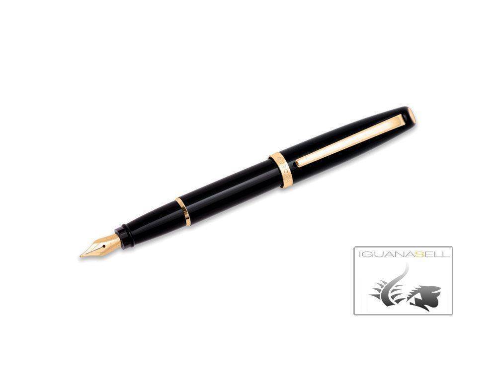 a-Style-Fountain-Pen-Black-and-Gold-Plated-E12DN-1.jpg