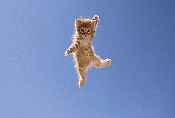 a0a4de248f1fe979cee5fc7735415260.gif