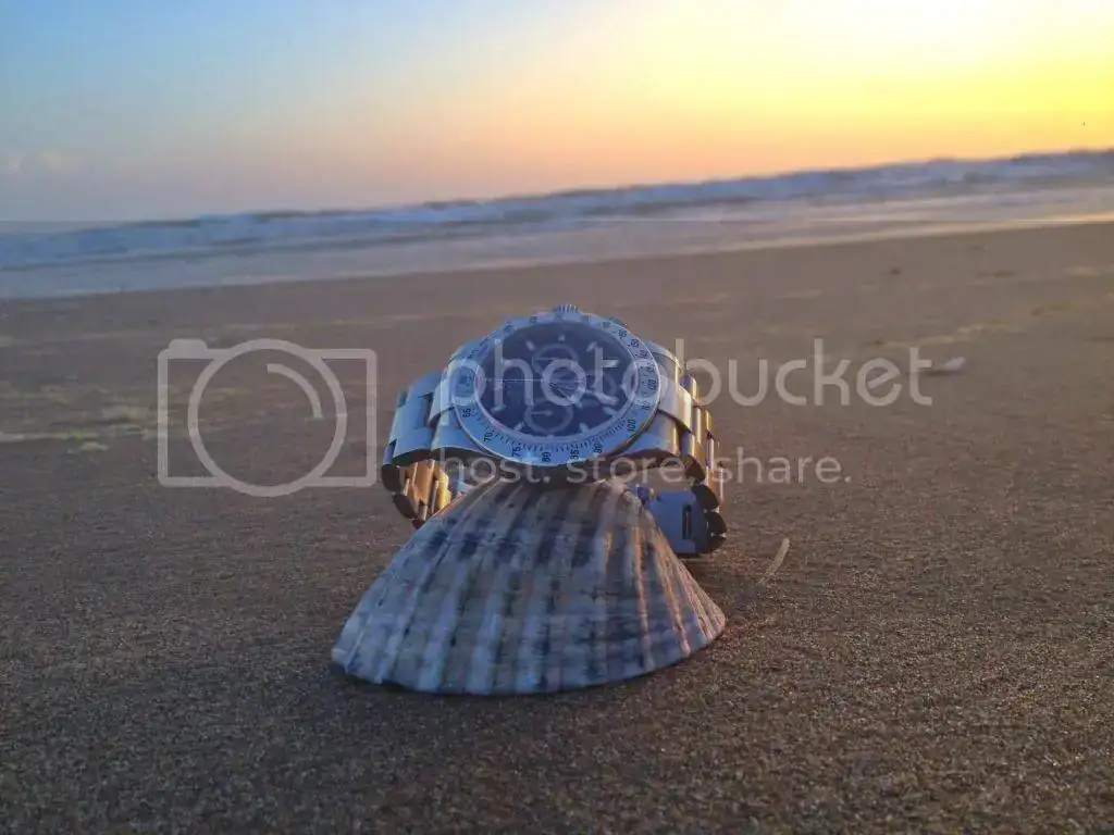 A1E4EC5C-1552-4407-8294-A0467CB5617E_zpsdwqbyumn.webp
