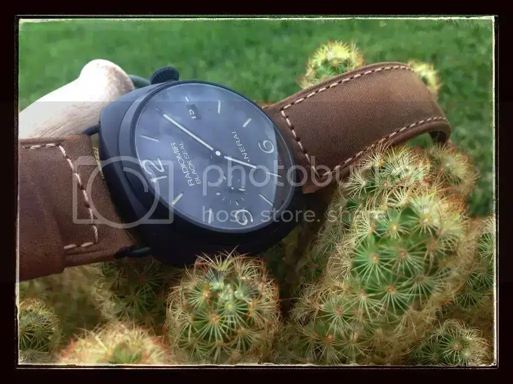 -A43B-4295-ABF8-4B778228ACA8-2873-000001F2D0EDAF2F.webp