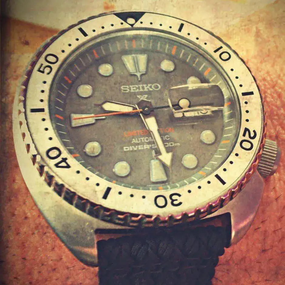 a55b761a1b0ef289d6886083319a5b1c.webp
