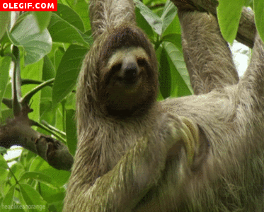 a60e9885ae0cc655070c684f7414df89.gif
