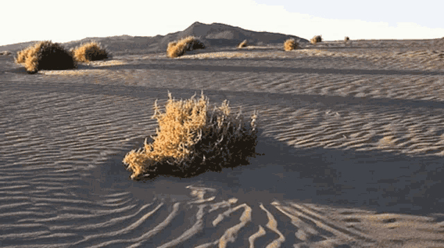 a62c7b444947d217cd18f3c01859f850.gif