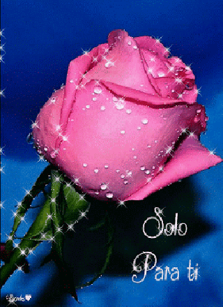 a6463ea77513bd6ef724c4cf9a993d19 (1).gif