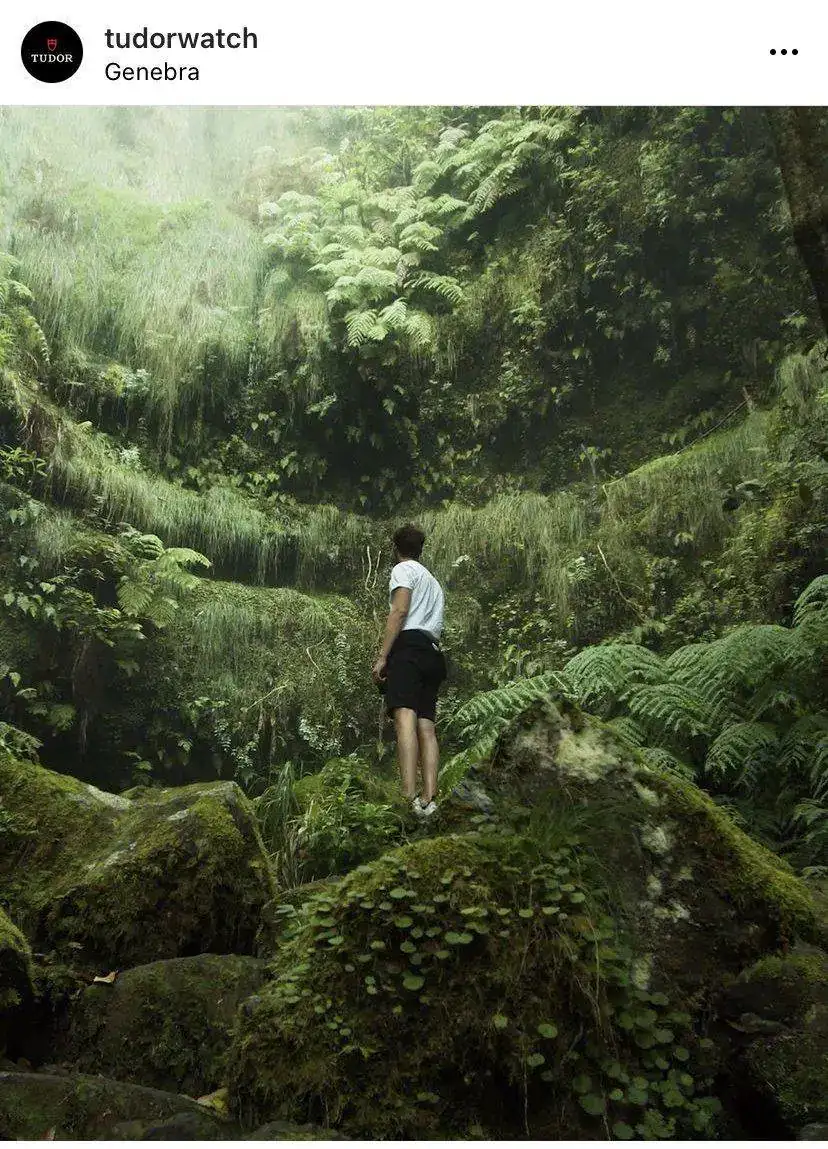 A7591248-C8DA-4AAB-8D9F-1377C9FD5FD1.webp