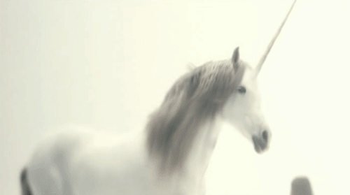 A7618818-BD9E-40E9-9D20-010C478EFC3E.gif
