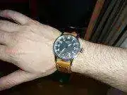 a7bcd5130837769.webp