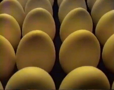 A9A3F8BE-05F0-4995-A5DB-61169B2F54C4.gif