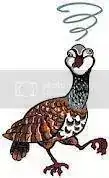 ab36e32b.webp