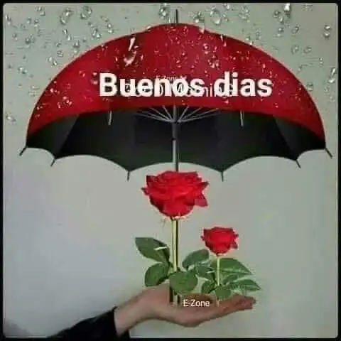 abcd0f1ae8632977e9be65f4c071b8dd.webp