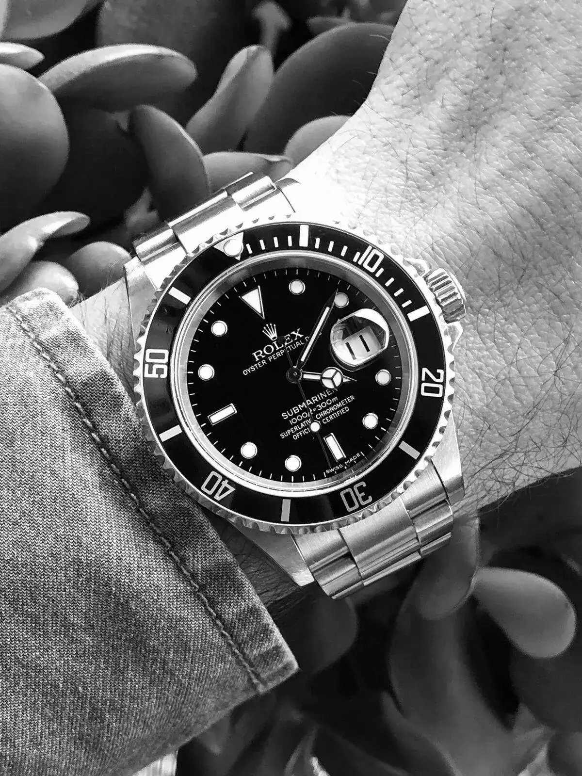 ABE41AA2-7E7F-4A28-94CA-8DD592DFD554.webp