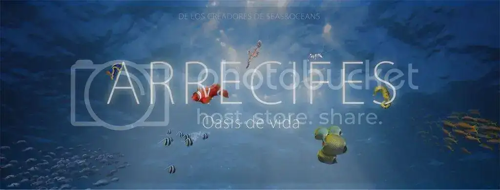 AC945E78-8C74-4D66-AC69-B730CC9B85F4_zpsjaflqovk.webp