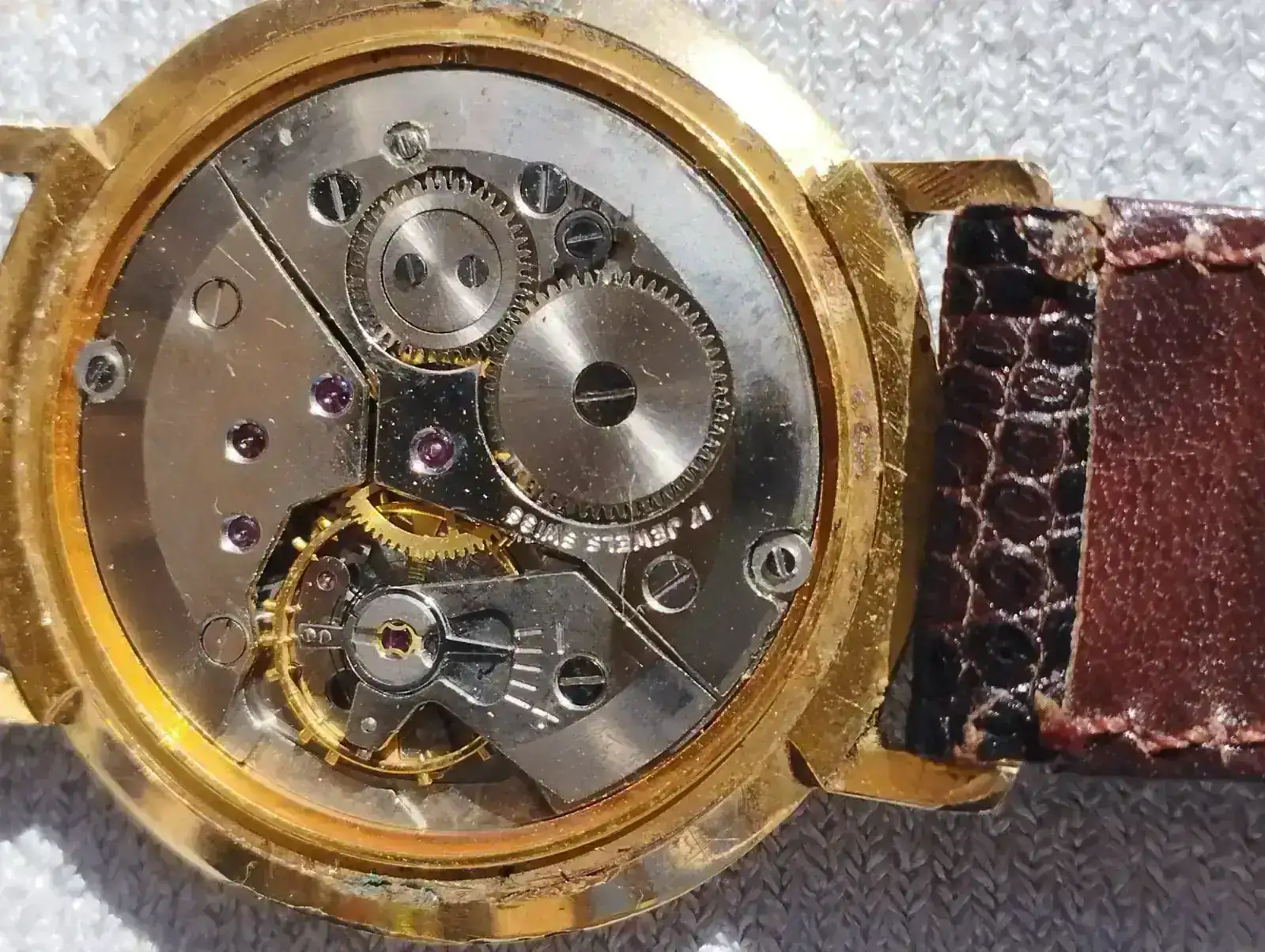 Action movimiento 2.webp