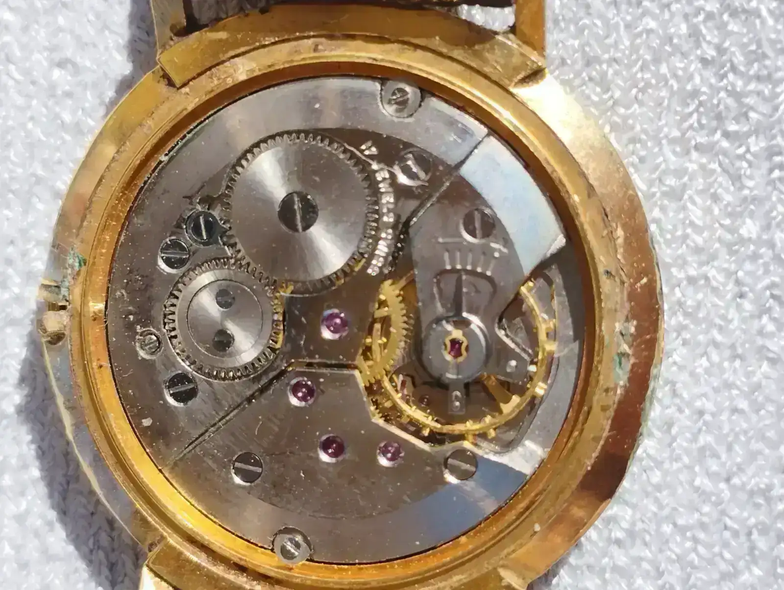 Action movimiento.webp