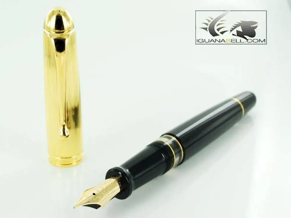 ain-Pen-88-Big-in-Resin-and-Gold-Plated-801-801M-1.webp