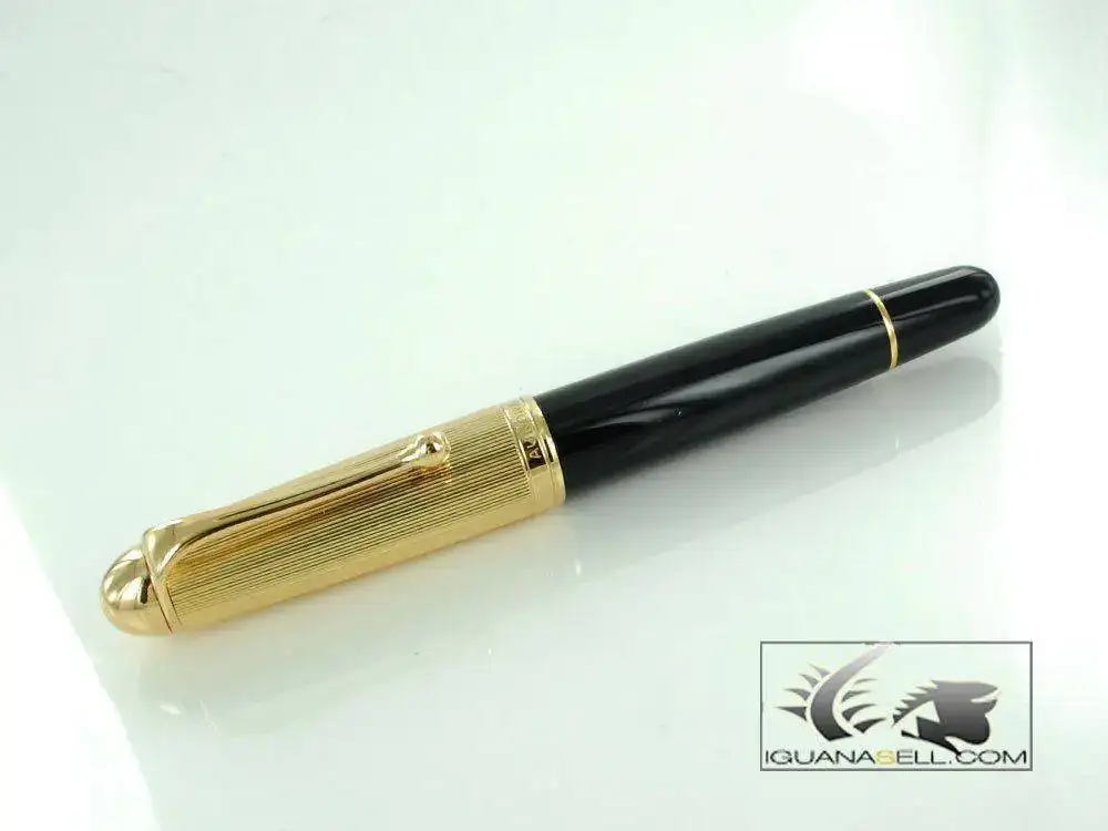 ain-Pen-88-Big-in-Resin-and-Gold-Plated-801-801M-2.webp